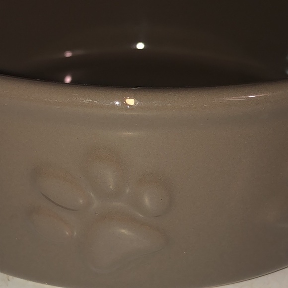 Ceramic Dog Bowl: Olive color - Picture 8 of 8